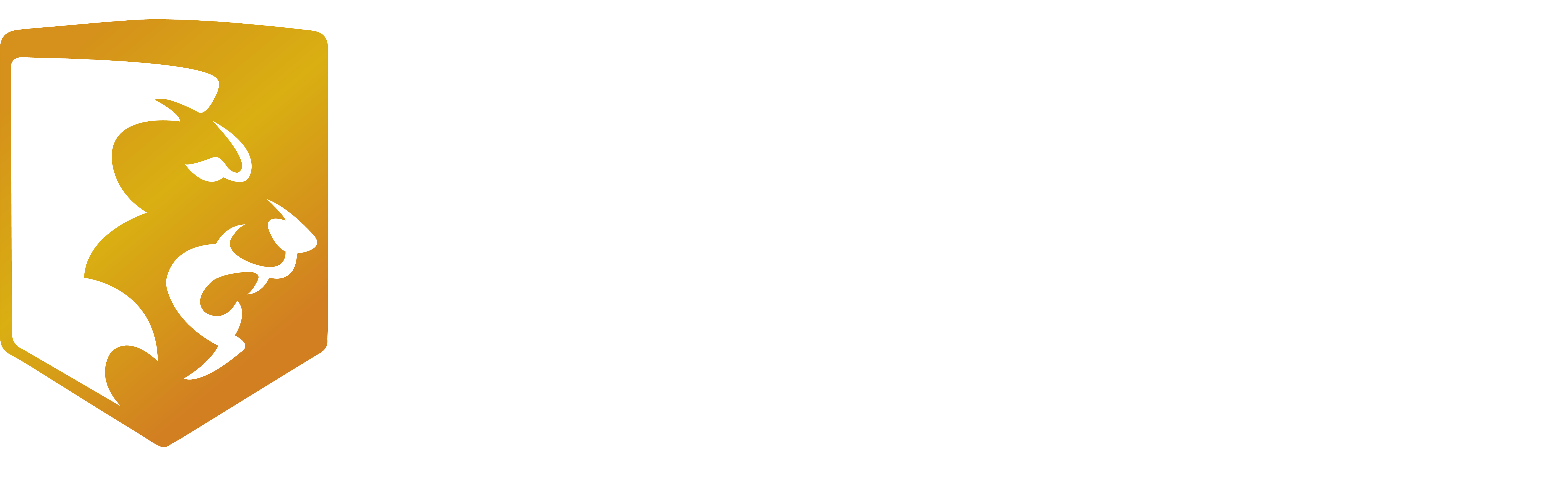 Vision Ofis